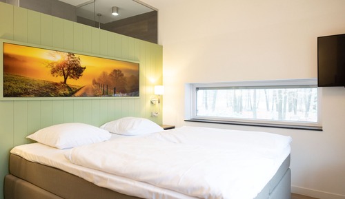 Chambre Confort, 2 lits une place, vue jardin