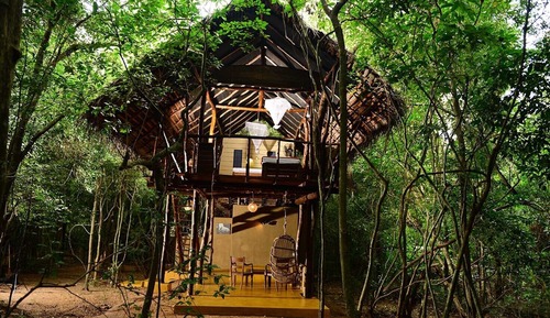 Tree House, vue jardin