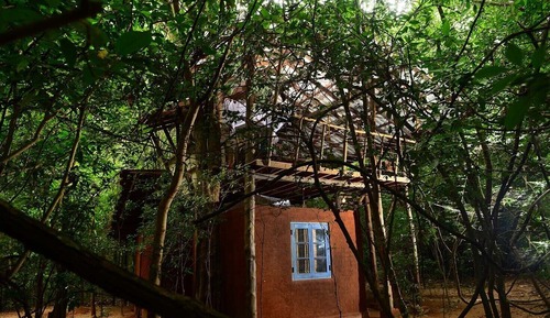 Tree House, 1 lit double, vue jardin