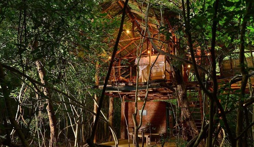 Tree House Familiale