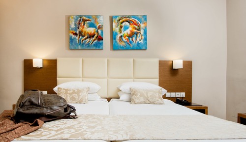 Chambre Supérieure avec lits jumeaux (disability access)