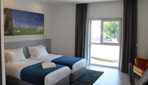 Chambre avec lits jumeaux (Single Use)
