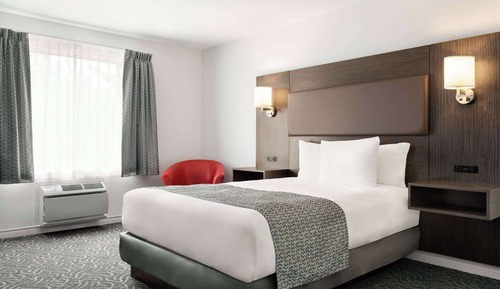Chambre, 1 grand lit, non-fumeurs (Shower Only)