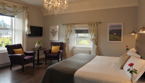 Chambre Double Supérieure, 1 très grand lit