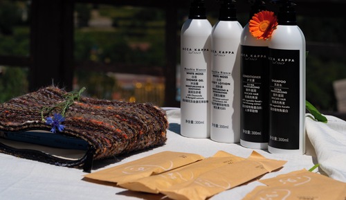 Chambre Panoramique Double ou avec lits jumeaux, vue vignoble