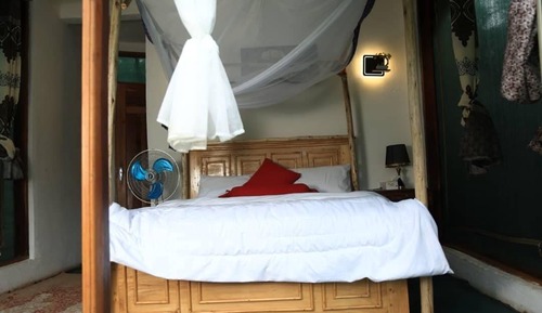 Luxury Single Room