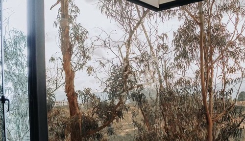 Deluxe Suite, Mountain View