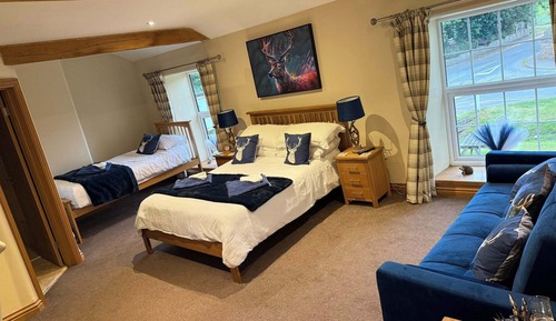 Family Double or Twin Room, Pets Allowed