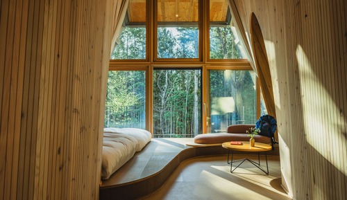 Simple Room [Dog-Friendly]