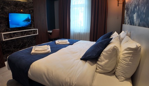 Deluxe Double or Twin Room, Non Smoking, Housekeeping