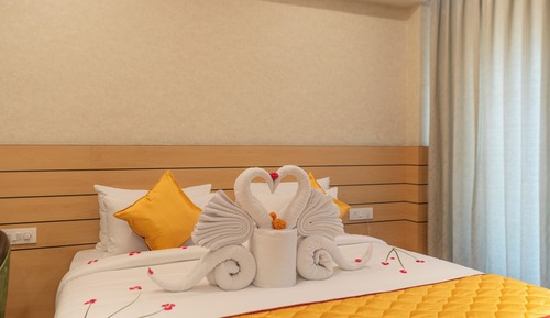 Chambre Simple Exécutive, vue jardin