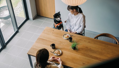Cabane Luxe, non-fumeurs, animaux de compagnie acceptés