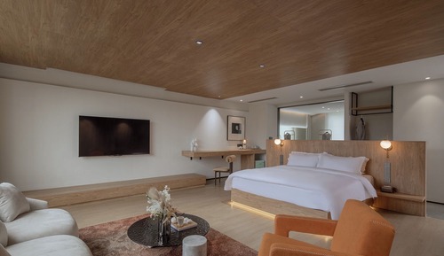 Chambre Double Élite, vue montagne