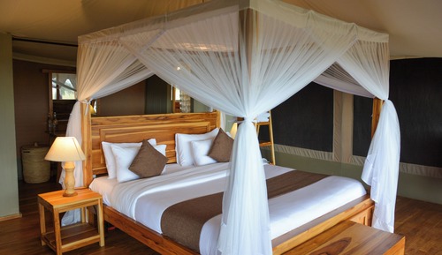 Chambre Deluxe Double ou avec lits jumeaux, vue parc