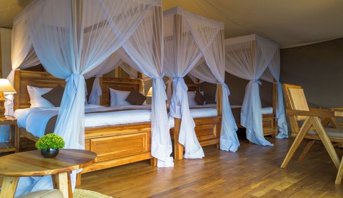 Chambre Triple Deluxe, vue parc