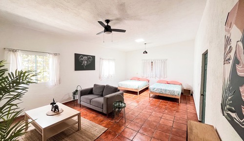 Appartement Duplex Confort, vue jardin