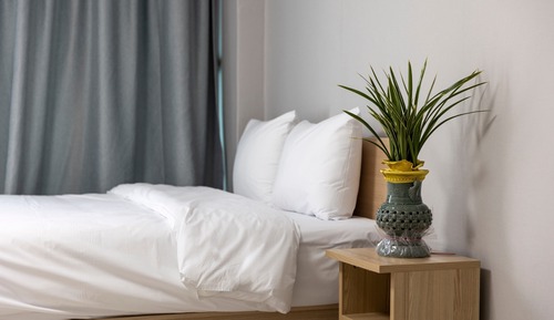 Chambre Standard Double ou avec lits jumeaux, vue montagne