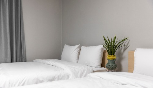 Chambre Deluxe avec lits jumeaux, 2 lits doubles