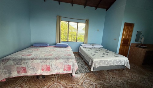 Chambre, plusieurs lits, vue mer