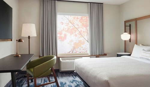Room, 1 King Bed with Sofa bed