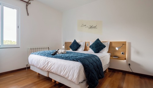 Chambre Supérieure Double ou avec lits jumeaux, balcon
