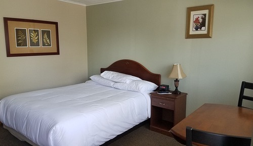 Chambre Simple Standard, 1 grand lit, vue lac