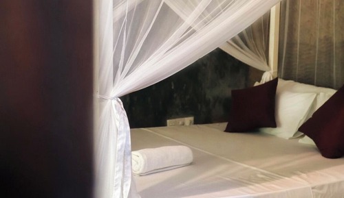 Chambre Double Deluxe, 1 grand lit, vue jardin, en bord de plage