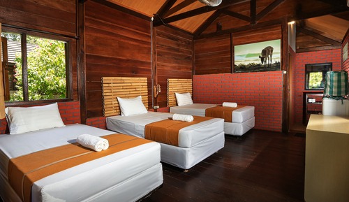 Chambre Double ou avec lits jumeaux