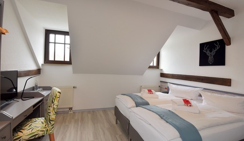 Chambre Tradition Double ou avec lits jumeaux, salle de bains privée, côté jardin