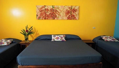 Chambre Quadruple Familiale, vue jardin