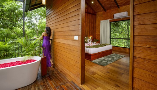Tree House Romantique