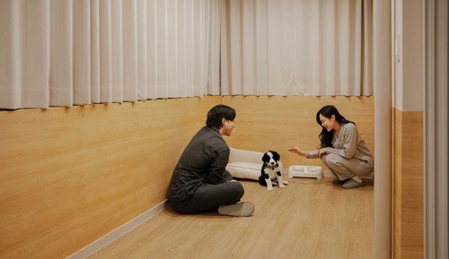 KOUM Deluxe Terrace Pet Room