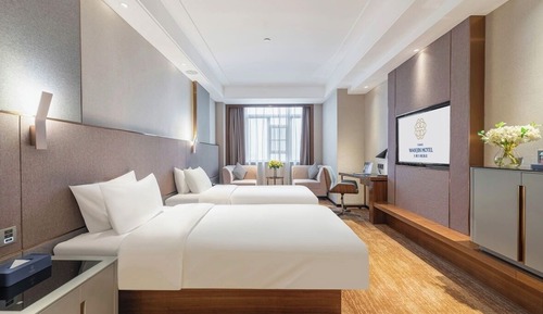 Chambre Affaires avec lits jumeaux