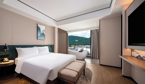 Suite Deluxe, 1 très grand lit