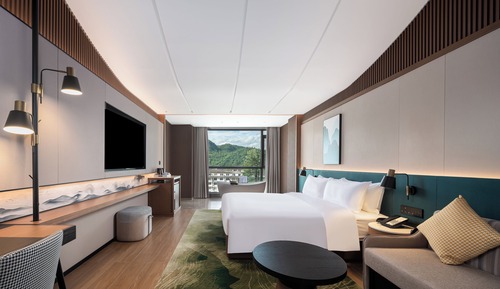 Chambre Deluxe, 1 très grand lit (High Floor)