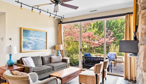 Cottage Luxe, vue vignoble