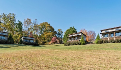 Cabane Luxe, vue vignoble