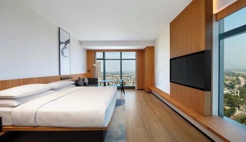 Chambre Affaires, 1 très grand lit, non-fumeurs (view)