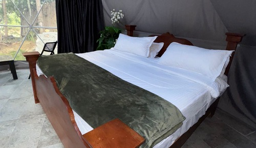 Suite Signature, vue lac