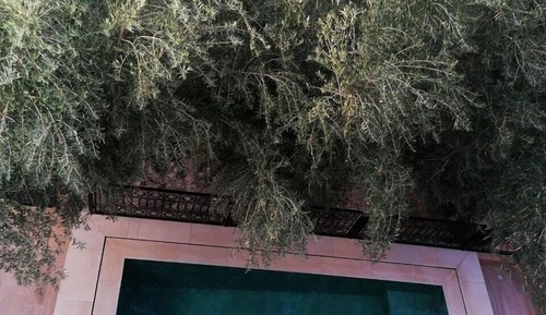 Chambre Confort, balcon, vue piscine