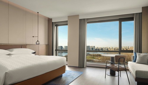 Chambre Supérieure, 1 très grand lit