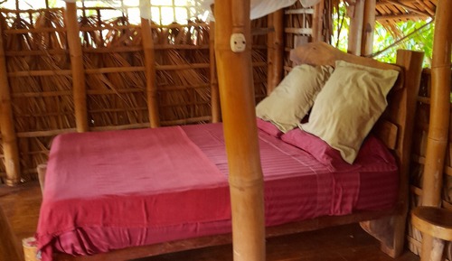 Tree House