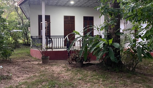 Chambre Double Standard, vue jardin