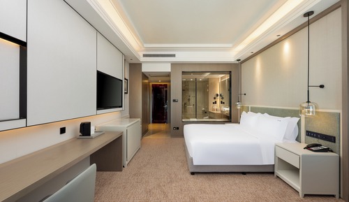 Chambre Standard, 1 très grand lit