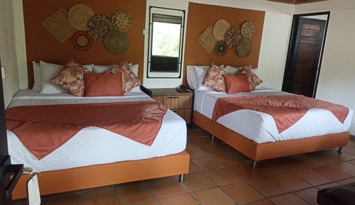 Chambre Familiale avec lits jumeaux, vue jardin