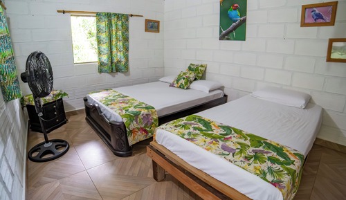 Chambre Double ou avec lits jumeaux, vue jardin