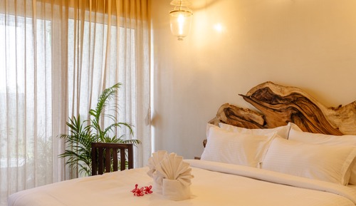 Chambre Tradition, patio, vue jardin
