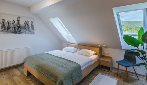 Chambre Classique, salle de bains privée
