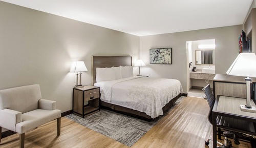 Chambre Standard, 1 grand lit (Roll-In Shower, Smoke Free)