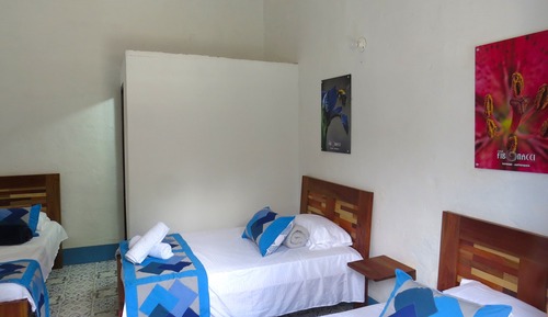 Chambre Triple Standard, vue montagne